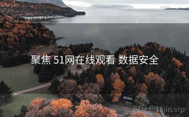 聚焦 51网在线观看 数据安全