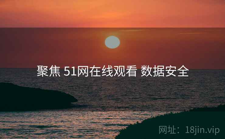 聚焦 51网在线观看 数据安全