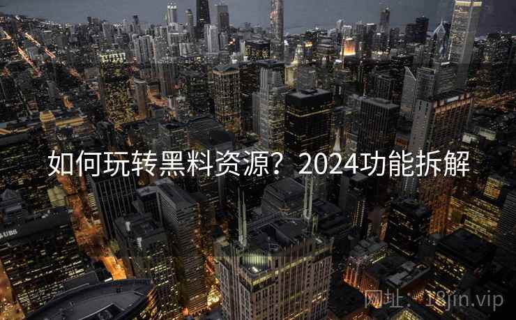 如何玩转黑料资源？2024功能拆解