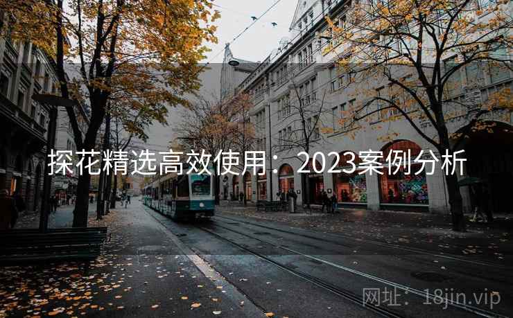 探花精选高效使用：2023案例分析