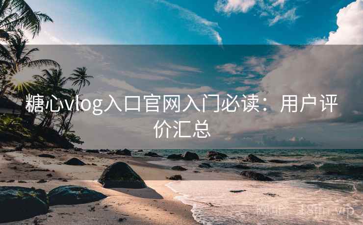 糖心vlog入口官网入门必读：用户评价汇总