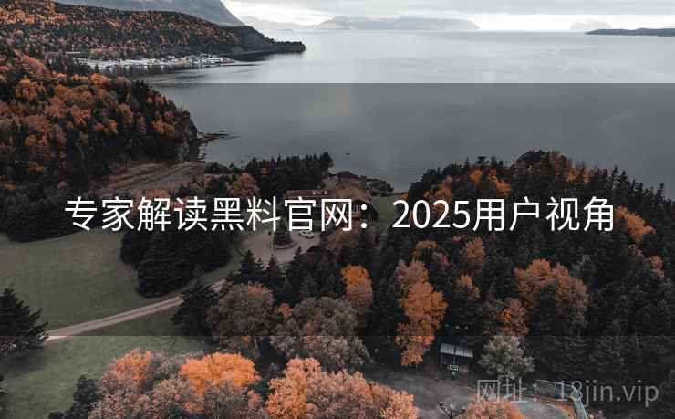 专家解读黑料官网：2025用户视角